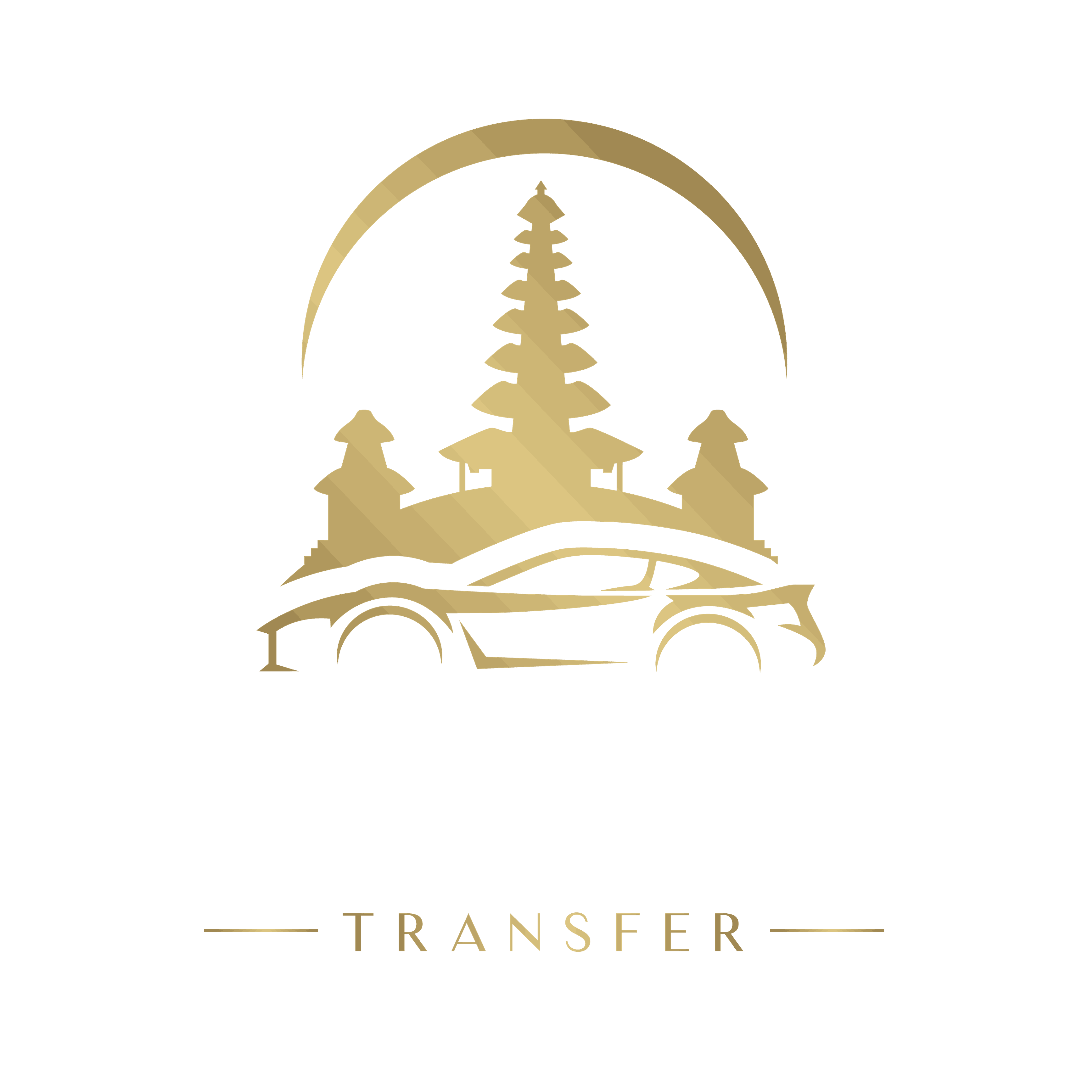 BaliVIPTransfer Logo